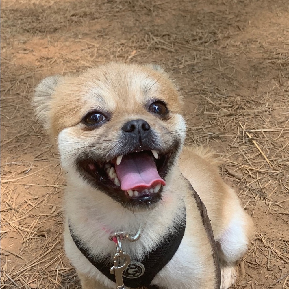 Meet your Posher, Sonia